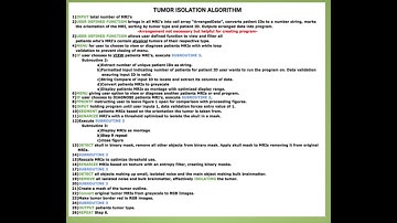 NAE Grand Challenge Podcast Group 15 Reverse Engineering the Brain