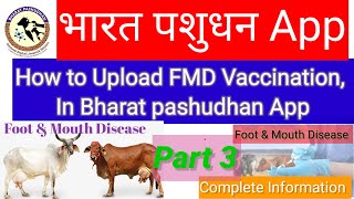 How to upload FMD in Bharat Pashudhan App, FMD vaccination कैसे Upload करे Bharat Pashudhan app मे l