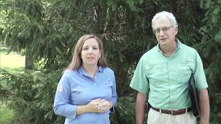 POWERSAVER Home Makeover Part 1 | REC Energy Saving Tips