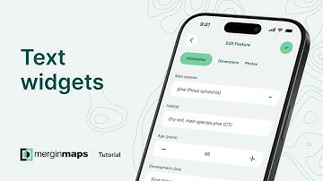 Mergin Maps tutorial - Text widgets