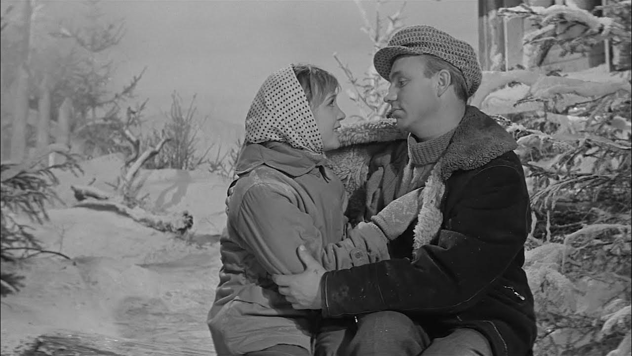 крылатые фразы из девчат. фразы из девчат. цитаты из фильмов. крылатые фразы из девчат. девчата фильм 1961 николай рыбников.