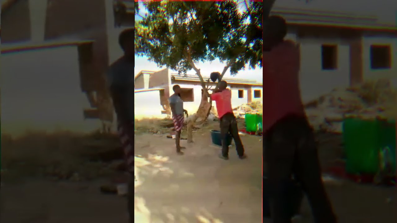 kudherera song by big bee out on Sunday