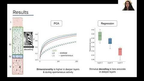 WONDER Team Neuromatch Project Presentation