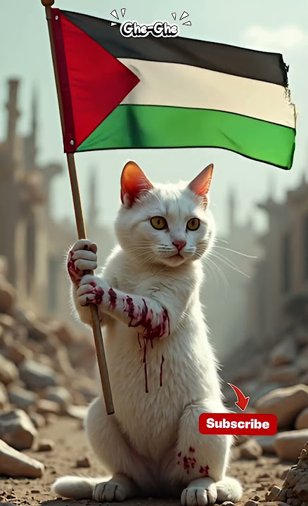 Free palestine 🥹🥲#cat #kitten #palestine #shorts #sad #cute #viral #fyp