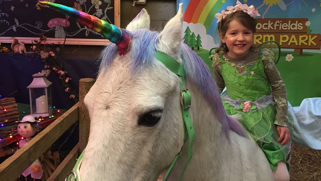 Meeting 'Real' Unicorns at Cockfields Farm Days Out Review 