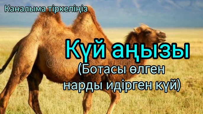 қызметші шұлық киска