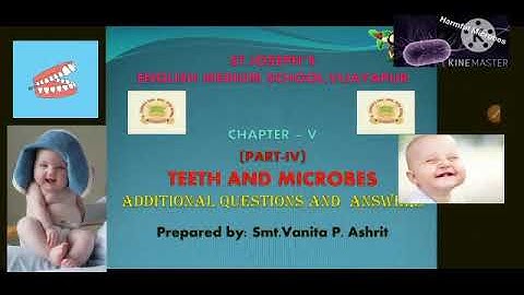 Teeth and Microbes- Video 04