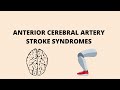 Gambar cover Anterior Cerebral Artery Stroke Syndromes | Anatomy | Clinical Features |
