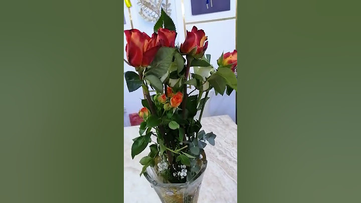 هديه من بنتي لينا بمناسبه عيد الام