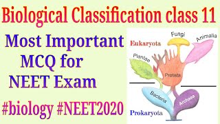 Biological Classification class 11 important MCQ for NEET exam