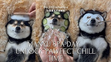 【ASMR】MANYU SPA DAY! | Unlock Pawfect Chill Time