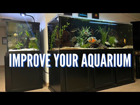 Video: DIY Aquarium Lokk: Lagingstips