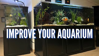 How to Make Your Aquarium Look Better