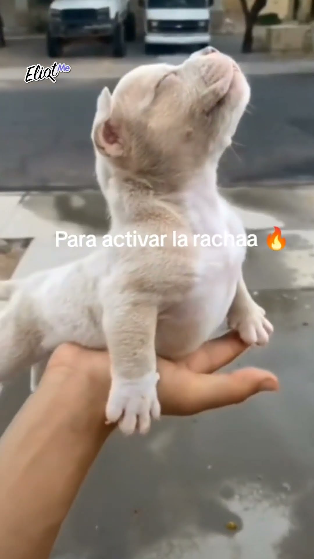 DICCIONARIO DE TIKTOK #shorts