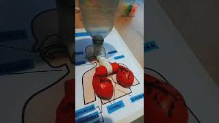 Maqueta Sistema Respiratorio Para La Bendi