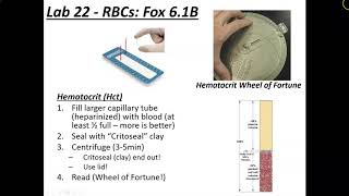 Laboratory 22 Introduction