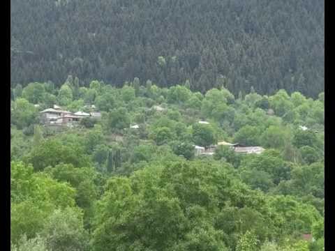 ანდრიაწმინდაში დაავადება \"თურქული\" არ დაფიქსირდა