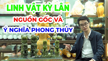 Kỳ Lân Đá: Bí Mật Phong Thủy và Sức Hút của Linh Vật Huyền Bí