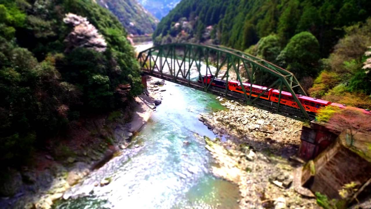 桜 嵐山 空撮春の嵯峨野トロッコ列車 京都 嵯峨野観光鉄道トロッコ列車 チルトシフト Youtube