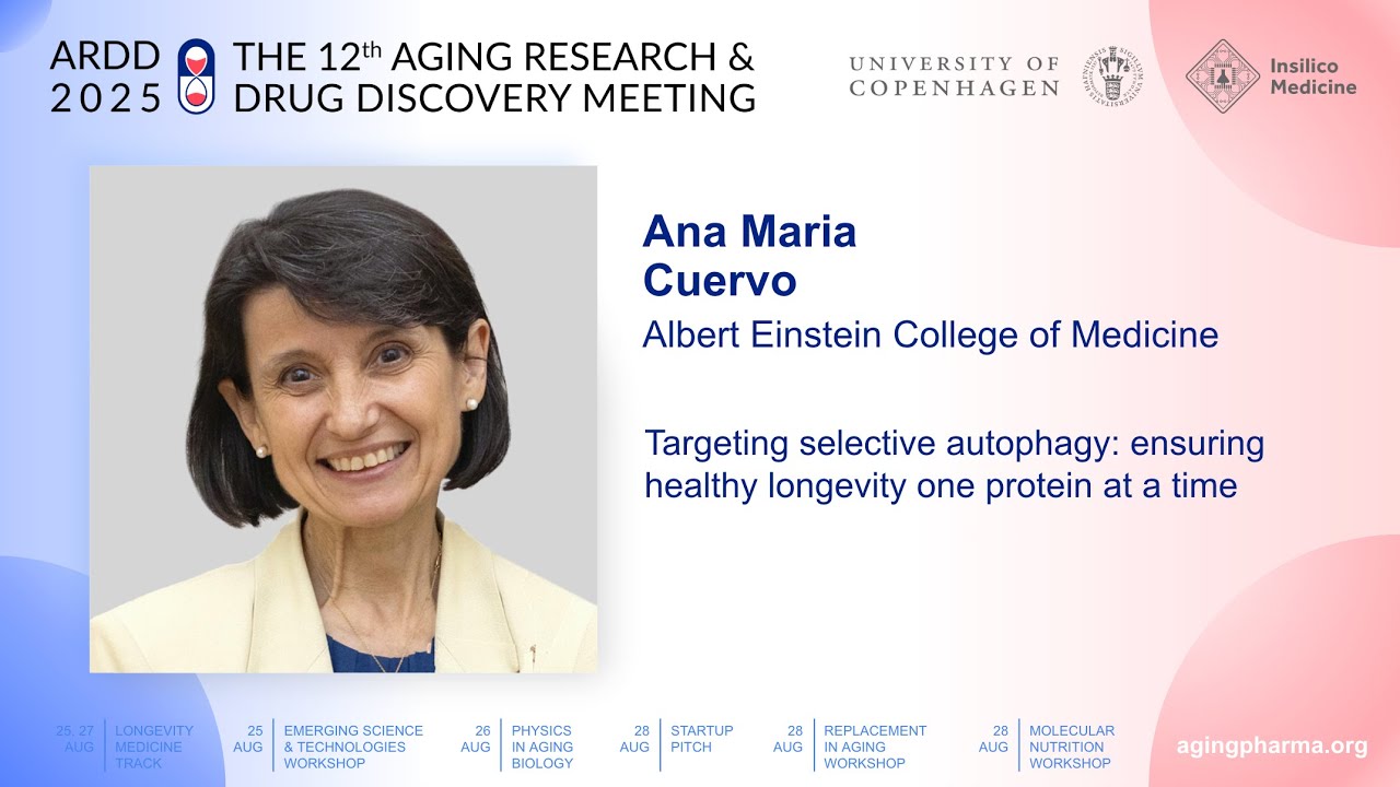 Ana Maria Cuervo at ARDD2025: Targeting selective autophagy: ensuring healthy longevity one protein at a time