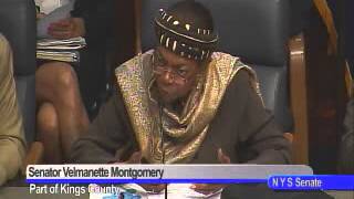 New York State Senate Health and Higher Education Public Hearing - 06/04/13