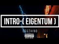 Desthino - Eigentum (Intro)- Official Video