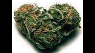 Alpha Blondy   Ganjah