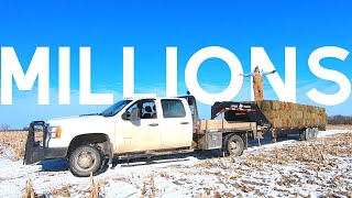 Young farmer makes MILLIONS off of HAY? (I Don't)