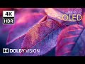 Unreal HDR Colors in 4K 120FPS | Dolby Vision Demo You Must See!