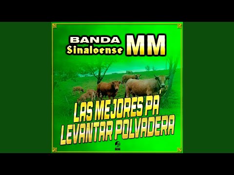 Arriba El Roble