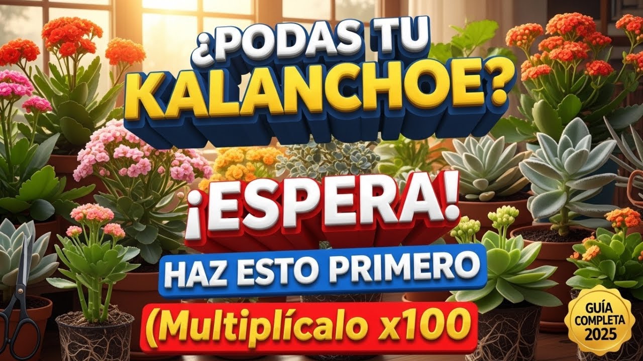 🌿CÓMO REPRODUCIR KALANCHOE💚| (GUÍA COMPLETA 2025 para MULTIPLÍCAR tus PLANTAS)