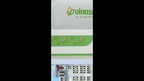 Thiết kế Nội thất Quảng Ngãi - MiLi Decor