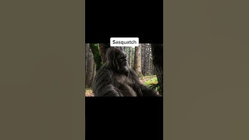 Scariest Urban Legends Caught On Camera #shorts #disturbing
