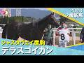 デラスゴイガンが差し返してマッチレースを制す!松山騎手「強い競馬だった」2026年10月3日(土)2歳新馬 京都ダート1800m 実況:石田一洋【カンテレ公式】