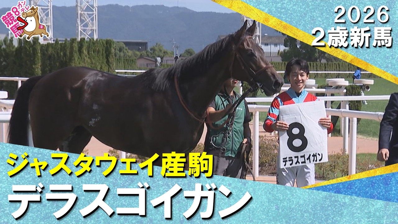 関連動画2