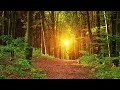 3 hours music no loops inner peace relaxing soothing music