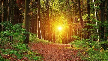 3 Hours Music, No Loops. Inner Peace, Relaxing, Soothing Music