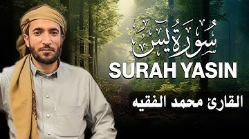 سورة يس كاملة للقارئ الشيخ محمد الفقيه