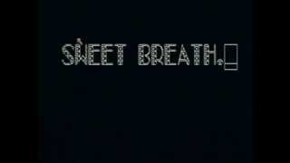Video Fictions 6-10