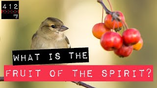 What is the fruit of the Holy Spirit? | 412teens.org