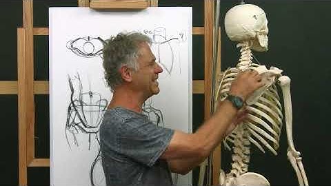 Figure Drawing with Karl Gnass | Part 4: Anatomy - TRAILER (Ultra HD 4K)