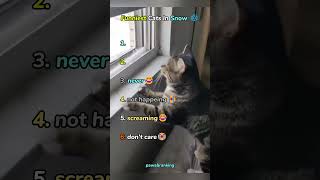 Cats Experiencing Winter❄️ #cat #babyshorts