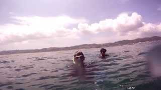Awase Bay Sazae Hunting - Summer 2013