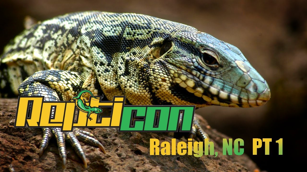 REPTICON Raleigh Winter 2022! Reptiles, Arachnids, & Exotics! Full