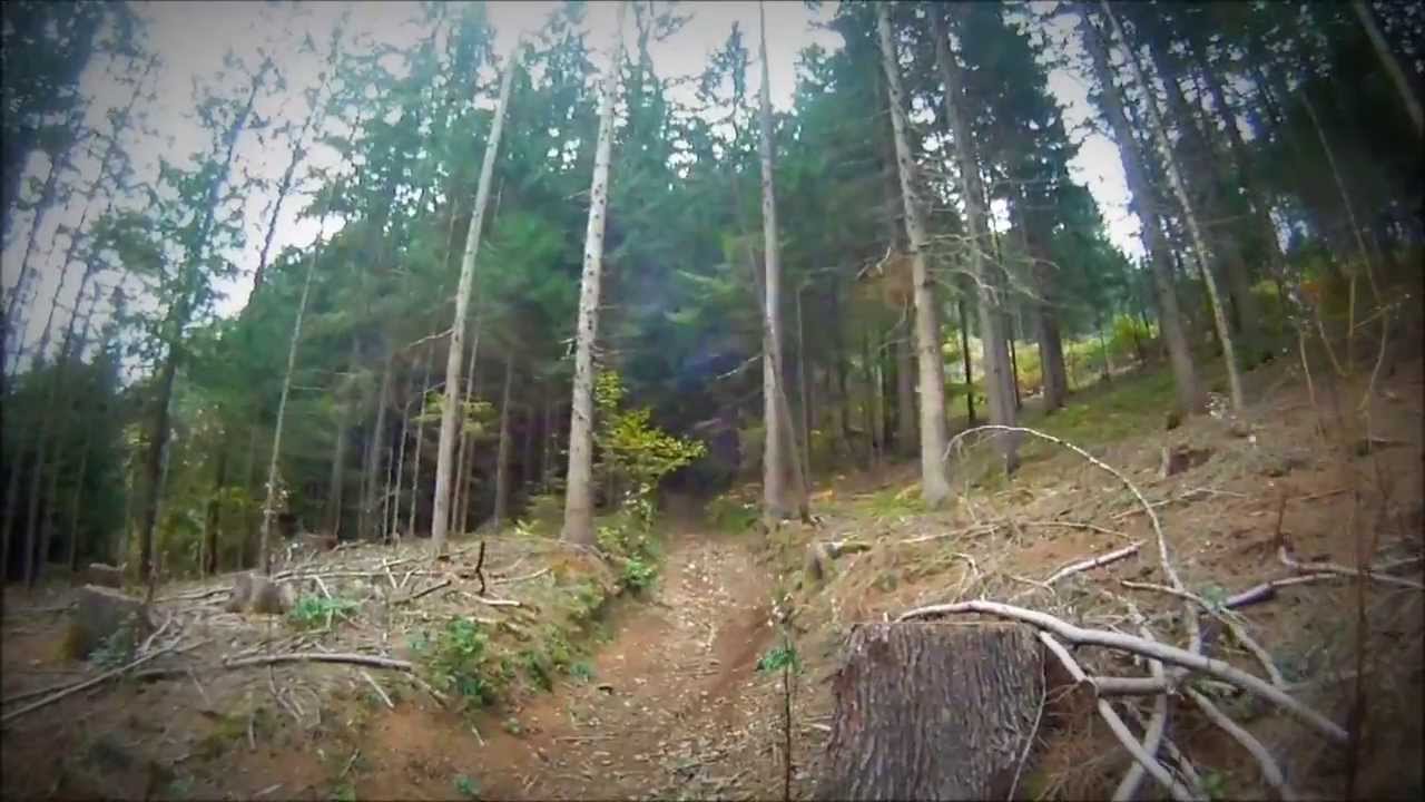 Downhill Oswaldiberg