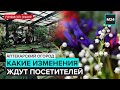 Аптекарский огород | Прямая трансляция - Москва 24