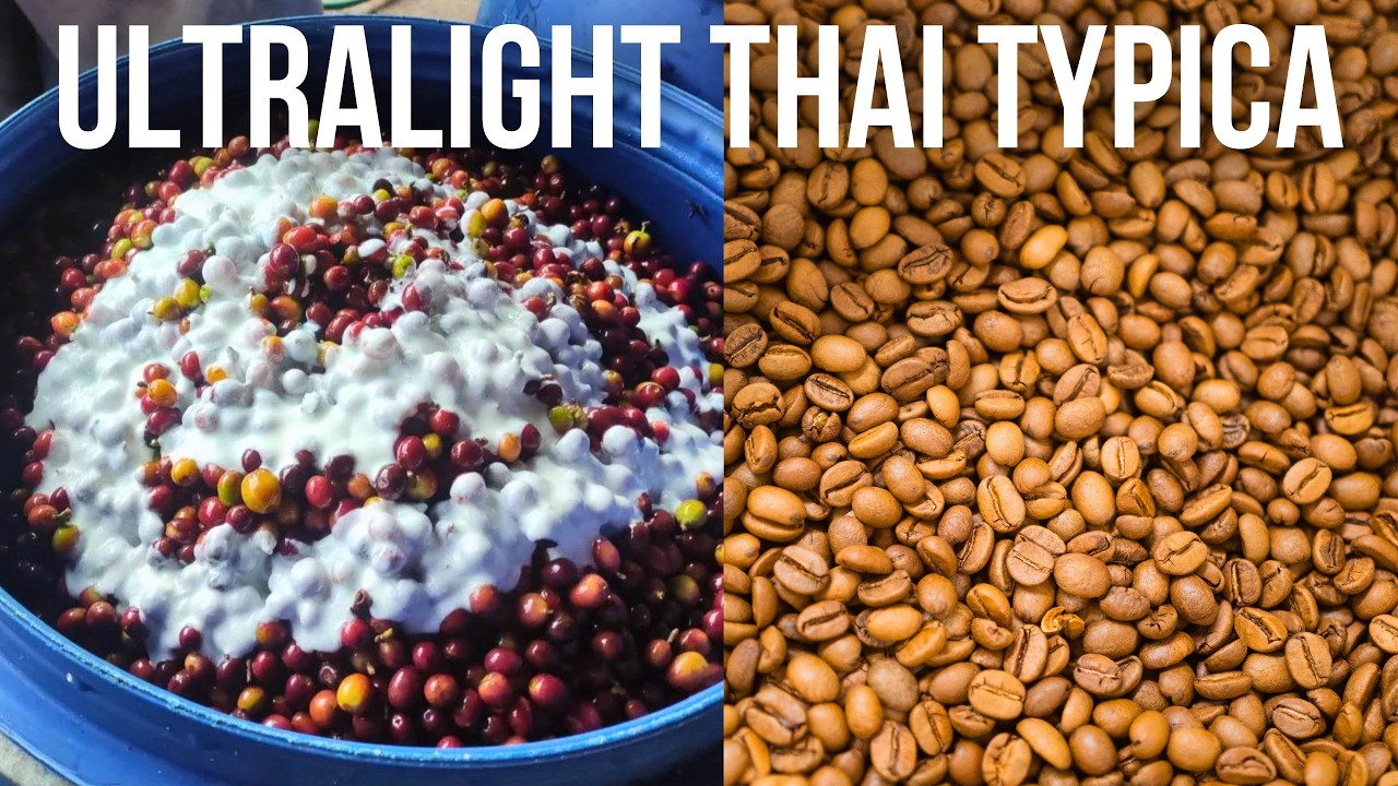 Сверхлегкая обжарка Таиландского кофе!?