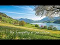 طبیعت سوئیس با کیفیت 4K موسیقی آرامش بخش و مناظر دیدنی 