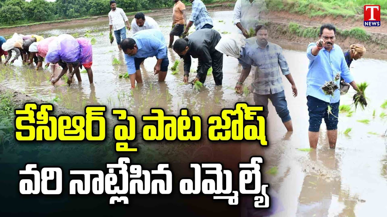 MLA Sunke Ravishankar Help Farmers With Planting Paddy | Women Farmers Song On CM KCR | T News