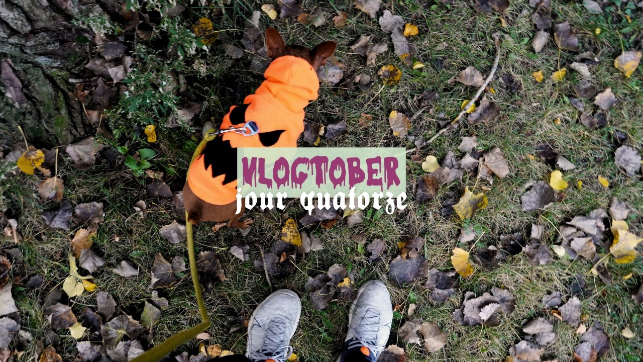 Journée d'attente de colis pour finalement continuer avec la malédiction des colis 📦 VLOGTOBER #14